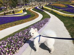 -南通洲际绿博园