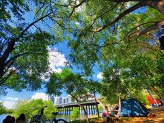 -长白岛森林公园