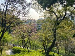 -乌山风景区
