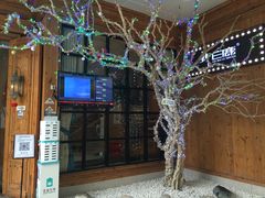 -新白鹿餐厅(城西银泰城店)