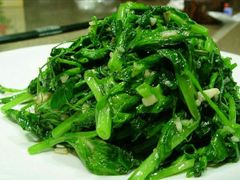 开阳鸡毛菜-冶春茶社(太和广场店)