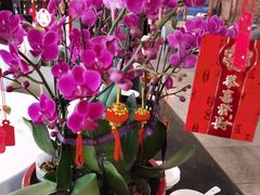 -东门烤鸭店(鼓楼店)