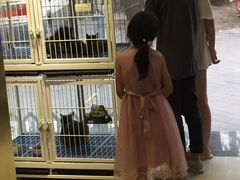 -我爱吾宠宠物美容院(朝阳路店)