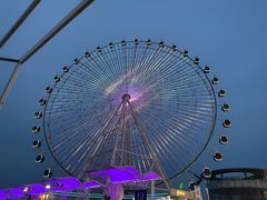 -琴岛之星摩天轮