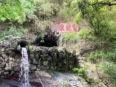 -宁波市保国寺古建筑博物馆