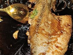 -九毛九西北菜(大东海店)