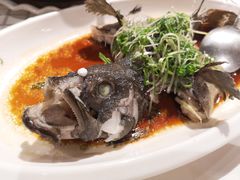 -强记海鲜·大排档(蛇口新街店)