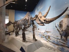 -国家自然博物馆