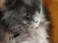 -平行世界·猫咖(首经贸店)