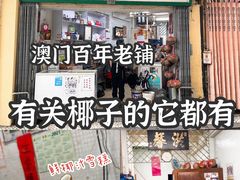 -洪馨椰子