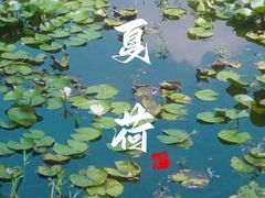 -西溪国家湿地公园