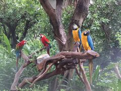 -麗枫酒店(广州汉溪长隆站野生动物园景区店)