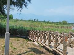 -野鸭湖国家湿地公园