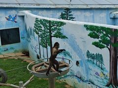 -西霞口神雕山野生动物世界