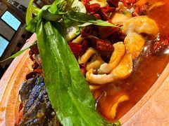 -菌自由丨野生菌火锅特色庭院餐厅(丽江古城店)