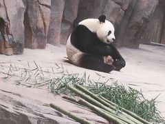 -宁波野生动物园