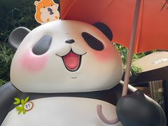 -轩客会(熊猫书店)