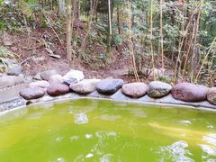 -花水湾第一村温泉大酒店