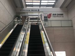 -虹桥机场国航贵宾室v8