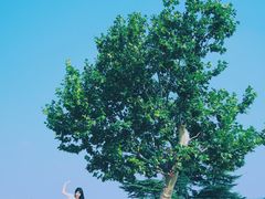 -钟山体育运动公园