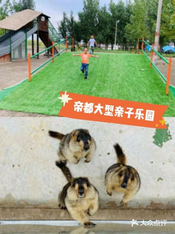 帝都遛娃亲子乐园，超值体验