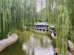 -团结湖公园