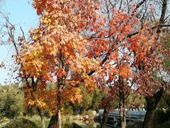 -长春市南湖公园