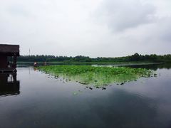 -溱湖国家湿地公园