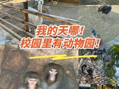 -北京市海淀外国语实验学校