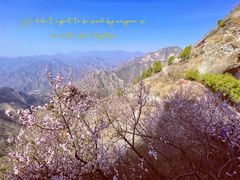 -圣莲山风景区