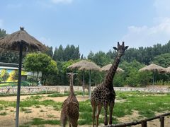 -北京野生动物园