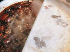 -湊湊火锅·茶憩(新中关购物中心店)