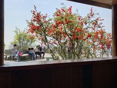 -月亮湾风景点