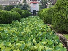 -四川大学(华西校区)