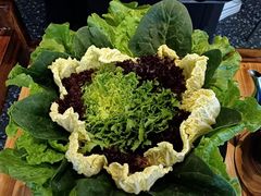 -额尔敦草原涮羊肉·烧烤(冻青树总店)