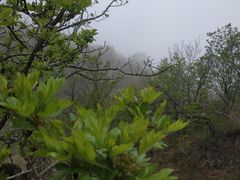 -妙峰山风景名胜区