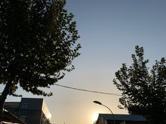 -四川大学(望江校区)