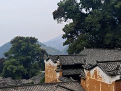 -杨家堂村