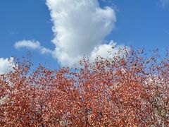 -小绿谷公园