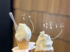 芝士-野人先生现做冰淇淋(北京顺义祥云小镇店)
