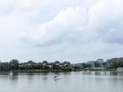 -美的鹭湖森林度假区