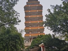 -鹅岭公园瞰胜楼