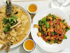 -煲来饱去冷水鱼