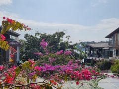 -海韵人家.海景花园经典云南菜(双廊店)