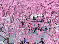 -北京奥林匹克公园