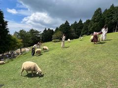 -神户市立六甲山牧场