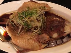 清蒸东星斑-北京四季酒店·采逸轩