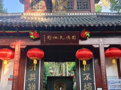 -杭州黄龙洞