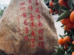 -国恩寺