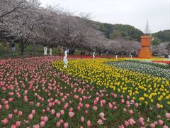 -苏州上方山国家森林公园